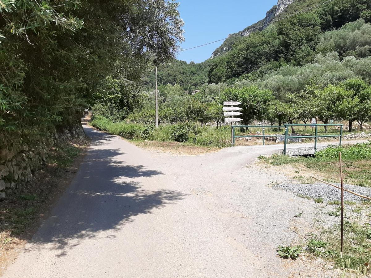 Agriturismo Alveare Финале Лигуре Екстериор снимка