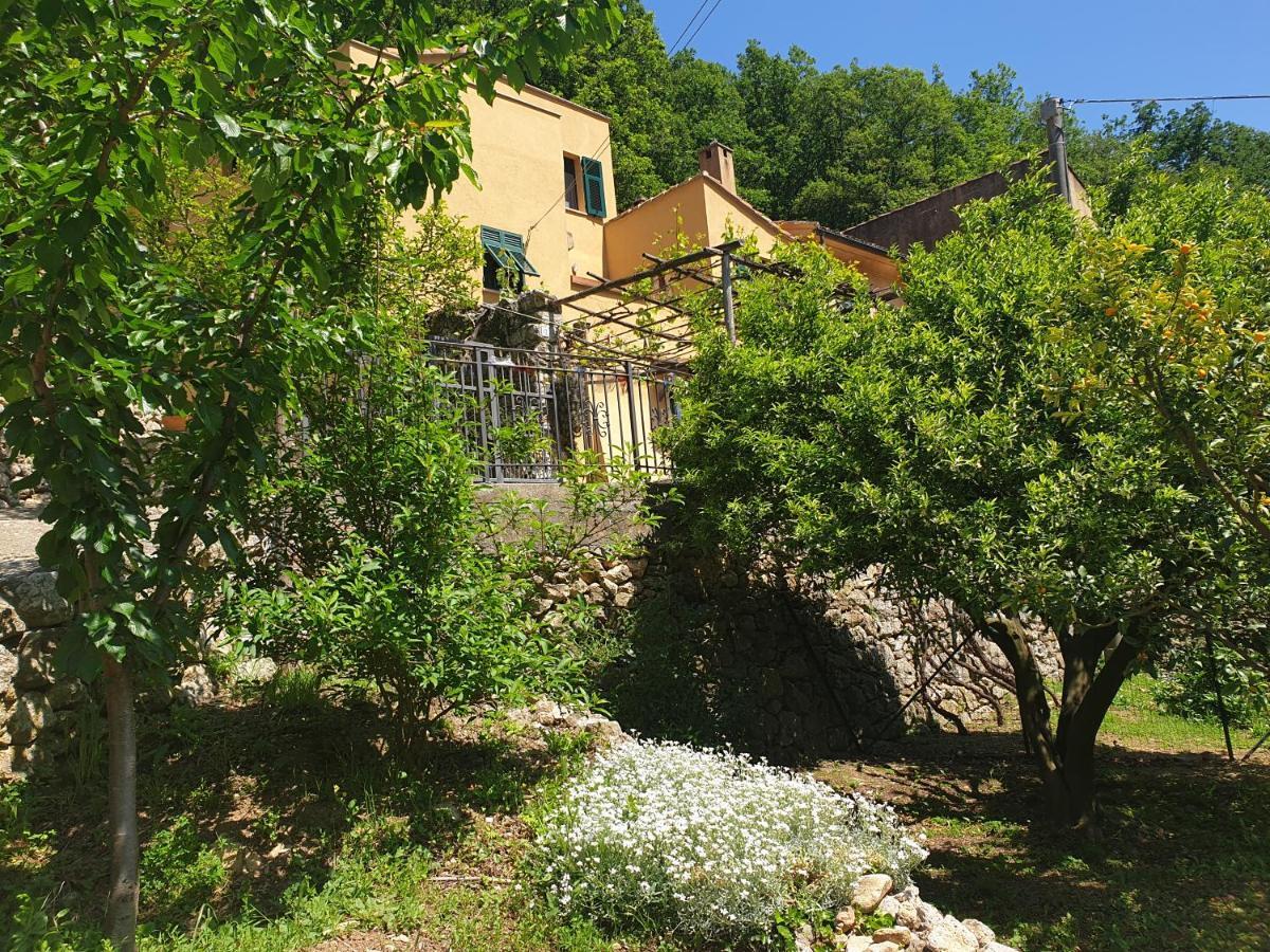 Agriturismo Alveare Финале Лигуре Екстериор снимка